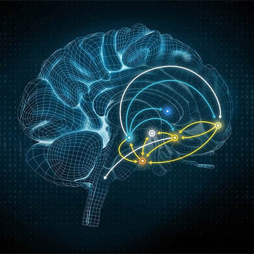 Brain Impact, réalisation Inside Web