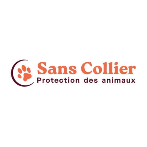 Sans Collier, réalisation Inside Web