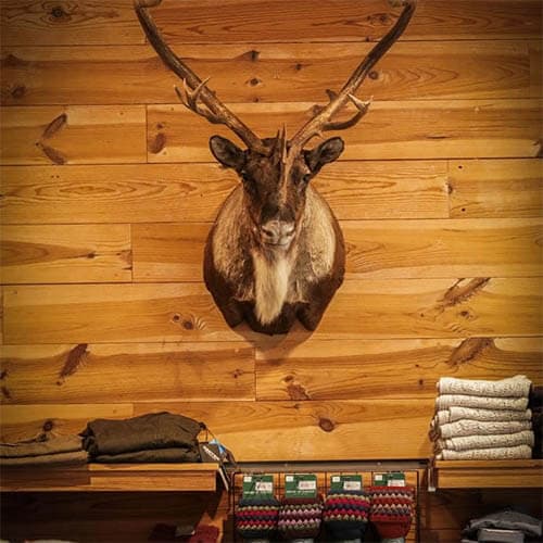 Hunting Lodge, réalisation Inside Web