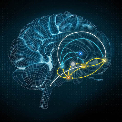 Brain Impact